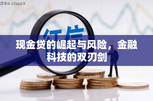 泰安现金贷的崛起与风险，金融科技的双刃剑