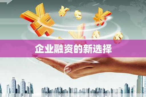 泰安企业融资的新选择