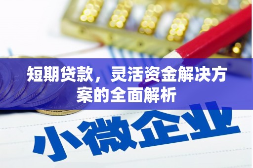 泰安短期贷款，灵活资金解决方案的全面解析
