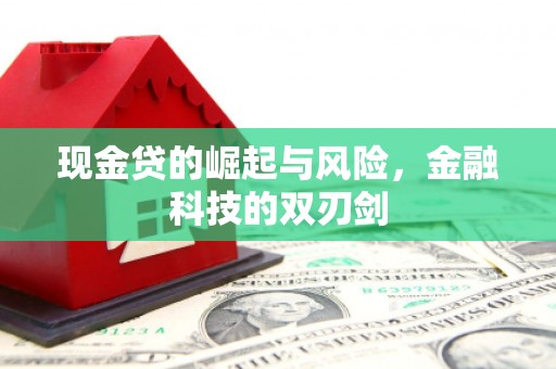 泰安现金贷的崛起与风险，金融科技的双刃剑