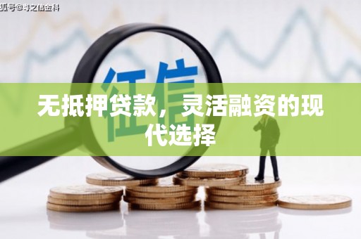 泰安无抵押贷款，灵活融资的现代选择
