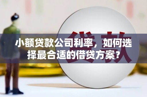 泰安小额贷款公司利率，如何选择最合适的借贷方案？