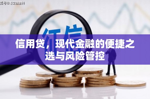 泰安信用贷，现代金融的便捷之选与风险管控