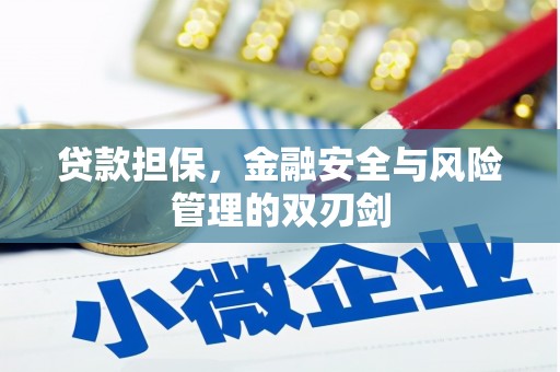 泰安贷款担保，金融安全与风险管理的双刃剑