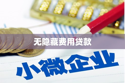 泰安无隐藏费用贷款