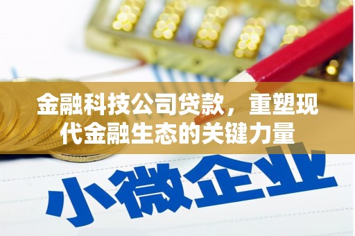 泰安金融科技公司贷款，重塑现代金融生态的关键力量