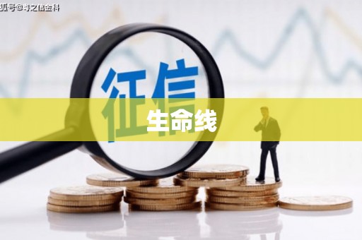 泰安生命线