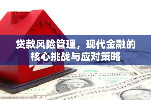 泰安贷款风险管理，现代金融的核心挑战与应对策略
