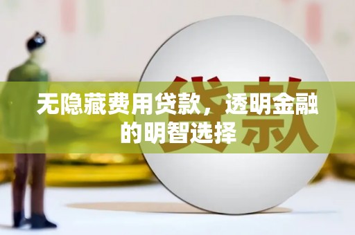 泰安无隐藏费用贷款，透明金融的明智选择