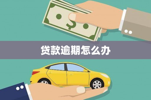 泰安贷款逾期怎么办