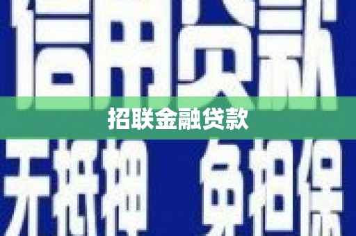 泰安招联金融贷款