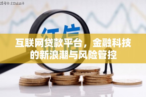 泰安互联网贷款平台，金融科技的新浪潮与风险管控