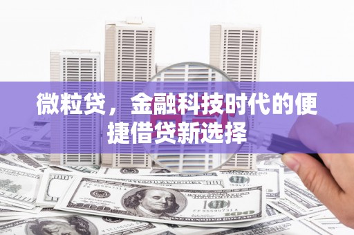 泰安微粒贷，金融科技时代的便捷借贷新选择