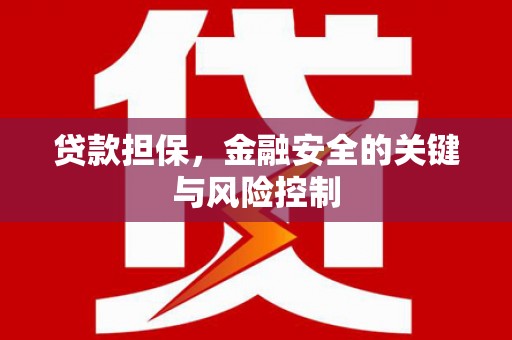 泰安贷款担保，金融安全的关键与风险控制