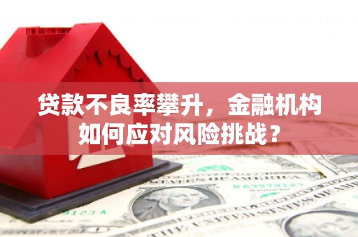 泰安贷款不良率攀升，金融机构如何应对风险挑战？