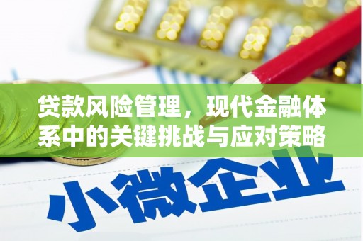 泰安贷款风险管理，现代金融体系中的关键挑战与应对策略