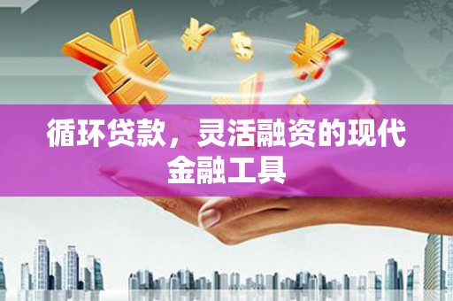 泰安循环贷款，灵活融资的现代金融工具