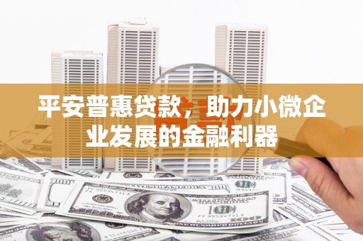 泰安平安普惠贷款，助力小微企业发展的金融利器