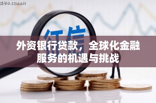泰安外资银行贷款，全球化金融服务的机遇与挑战