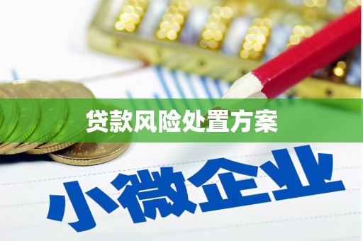 泰安贷款风险处置方案