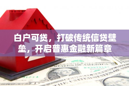 泰安白户可贷，打破传统信贷壁垒，开启普惠金融新篇章
