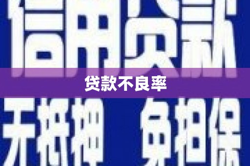泰安贷款不良率