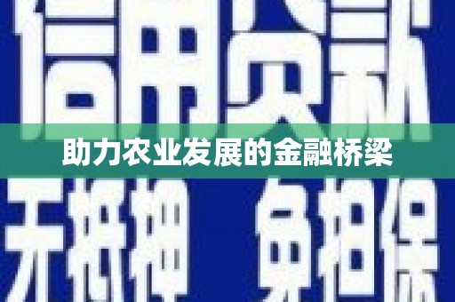 泰安助力农业发展的金融桥梁