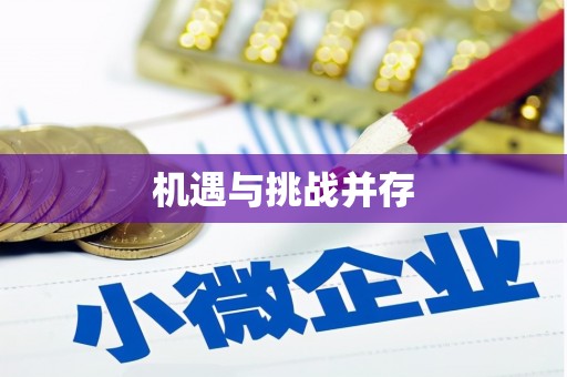 泰安机遇与挑战并存