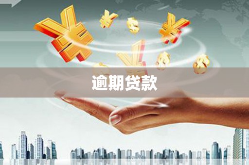泰安逾期贷款