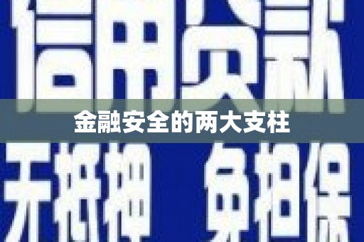 泰安金融安全的两大支柱
