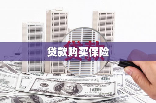 泰安贷款购买保险