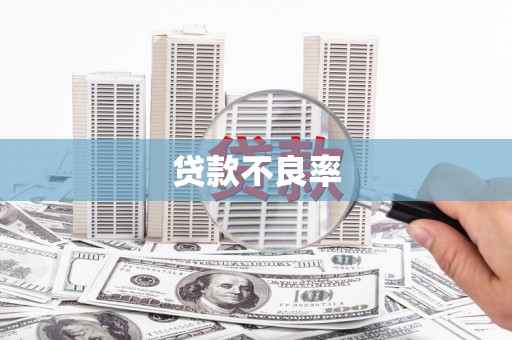 泰安贷款不良率