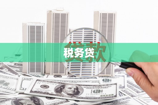 泰安税务贷